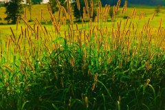 About-IMG_6187