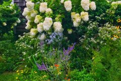 About-IMG_6331