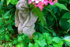 About-IMG_6420