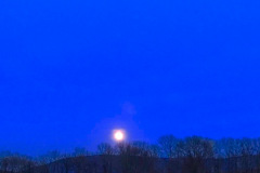 IMG_7808